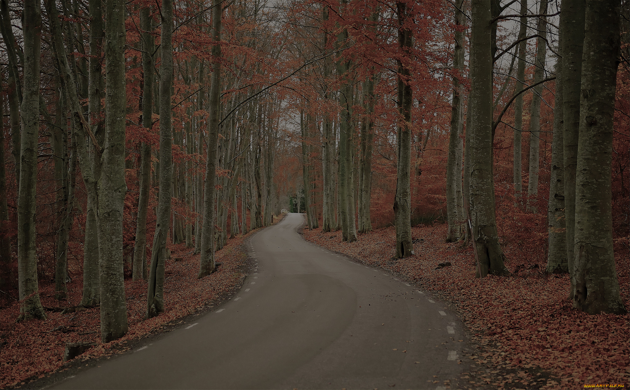 , , , , , , , robert, gustavsson, photography, , 